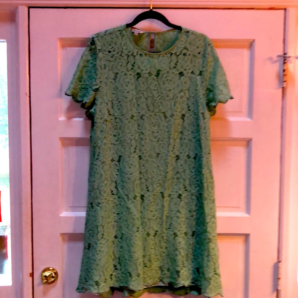 J Peterman lace dress. Lovely green/mint color.